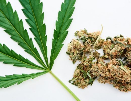 cannabis as medicine