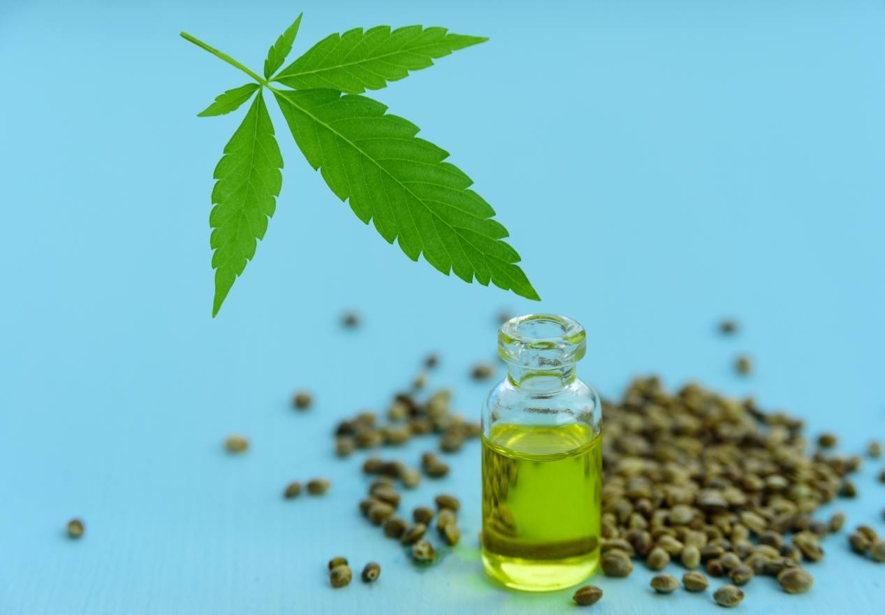 CBD Oil Vs. Hemp Seed Oil - Botanical Empress