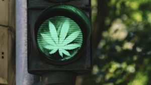 Green light to legalize cannabis