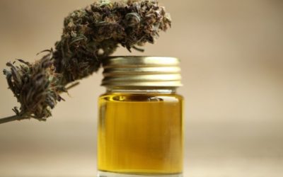 CBD Vs. THC: Properties, Benefits, and Side Effects