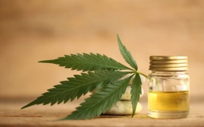 Is CBD Oil Weed? (What’s the Difference?)