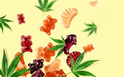 Guide to CBD Gummies- Nine Common Side Effects!