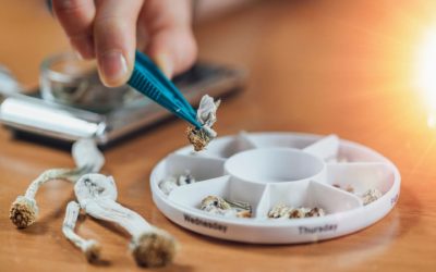 Microdosing Psychedelics as an Alternative to Stimulants for ADHD