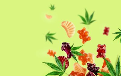 How CBD Gummies Are Made: A Behind-The-Scenes Look