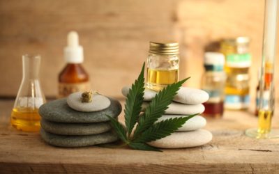 Surprising Benefits of Cannabis Roots in Your Beauty Routine